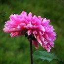 정대2리 경로당 이미지