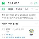 2022 카타르 월드컵을 여름에 못 보는 이유 이미지