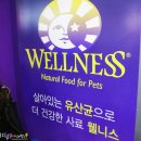 2017 케이캣페어(7/1 - 7/2 SETEC)