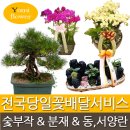 은행정/이곡 이미지