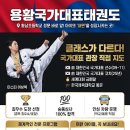 국가대표기합소리태권도 이미지