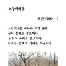 오늘의 시 : 노랑제비꽃 이미지