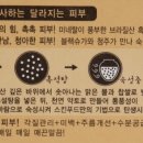 2엑스(2X) 네이버블로그