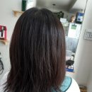 헤어사랑샵 | [강릉미용실] 30년 경력 원장님의 한 끗 차이! 용강동 필헤어샵 인생 머리 후기