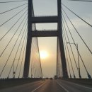 바다엔소나무 이미지