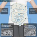 당뇨병 피하려면 요거트를먹어라 이미지