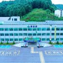 꿀벌랜드 협동조합 이미지