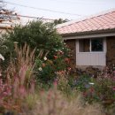 어 타이니 리틀피스 이미지