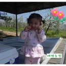 에덴농장 2 이미지