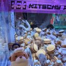 안드로메다 오락실 이미지