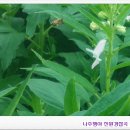 동신영농(주) 이미지