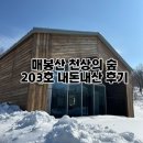 매봉산 | 매봉산 숙소 추천 천상의 숲 203호 내돈내산 숙박 후기 (조용한 힐링 숙소)