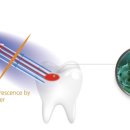 연세정원치과의원 이미지