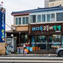 카카오 이미지