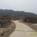 시굴청국장