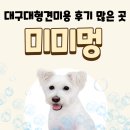 신암남로 | 대구대형견미용 비용 시간 후기 많은 곳 미미멍
