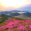 진달래노래방 이미지