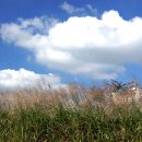 고창농장 이미지