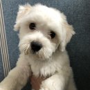 신천파출소 이미지