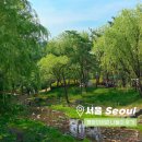 월드컵공원 평화의공원 8개월 아기와 나들이 후기 (주차정보, 텐트위치, 수유실)