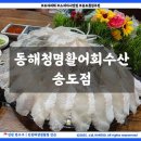 청명 | 쫀득한 도다리회 맛집 추천 송도 횟집 동해청명활어회수산 방문 후기