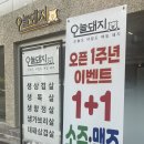 분홍돼지 | 진주 초전동 맛집 &lt; 오늘돼지 &gt; 재방문 후기 I 초전동 삼겹살은 여기!!