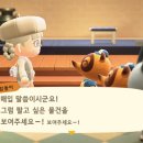 너굴상점
