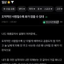 연초록 이미지
