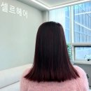 셀르헤어