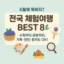 2025년 6월 체험여행 추천! 블루베리 수확부터 감성 공방까지 전국 BEST 8 🌿