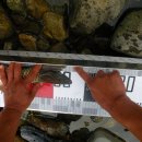 강천하루 이미지