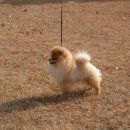 헬리우스 이미지