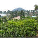 신효동-15 이미지