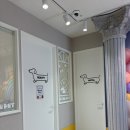 피터펫 미사점 이미지