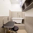 시흥24시센트럴동물의료센터 이미지