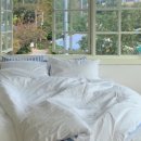 레뷰즈 맨션 이미지