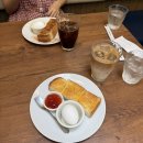 정문 앞 건널목 | 나고야 2박3일 여행 2일차 후기 (킷사마츠바/나고야성/이온몰/가챠/사카에쇼핑거리/하브스/호루탄야...