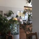 더하우스113(The house 113) | 경북 김천, 구미 근처 카페 「 The house113 더하우스113 」