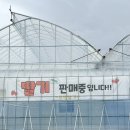 연곡농장 이미지