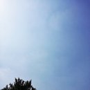 박*현 이미지
