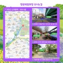 천안시장애인종합복지관 1층 화장실 | 보라매공원 꽃축제 서울국제정원박람회2025 메타몽가든 푸드트럭 가는길 주차