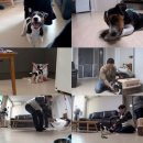 초지로3 이미지