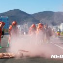 대원특수여객 이미지