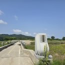 힐링섬 코스 | 반려동물 동반 가능한 여주 강천 섬 유원지, 힐링 산책코스 당일치기 여행