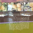 나주배박물관 이미지