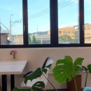 화랑유원지_암벽등반장주변 이미지