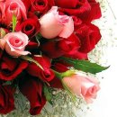 축복공인중개사사무소 이미지