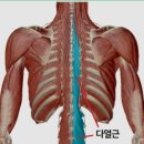 바디온짐 이미지