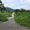 양평최고공인중개사사무소 이미지