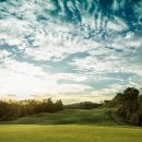 학장블루클럽 이미지